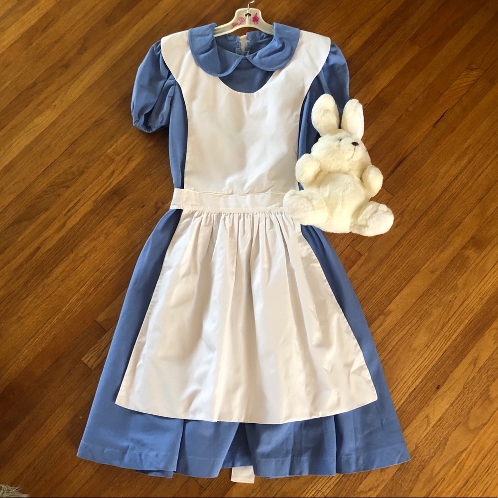 Alice Wonderland blue dress Halloween costume